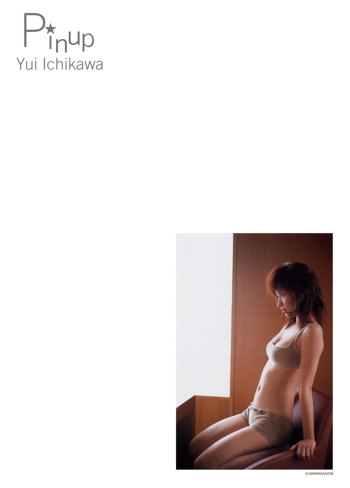 Photobook Yui Ichikawa 市川由衣 Pinup Poster 0063 3913983905.jpg