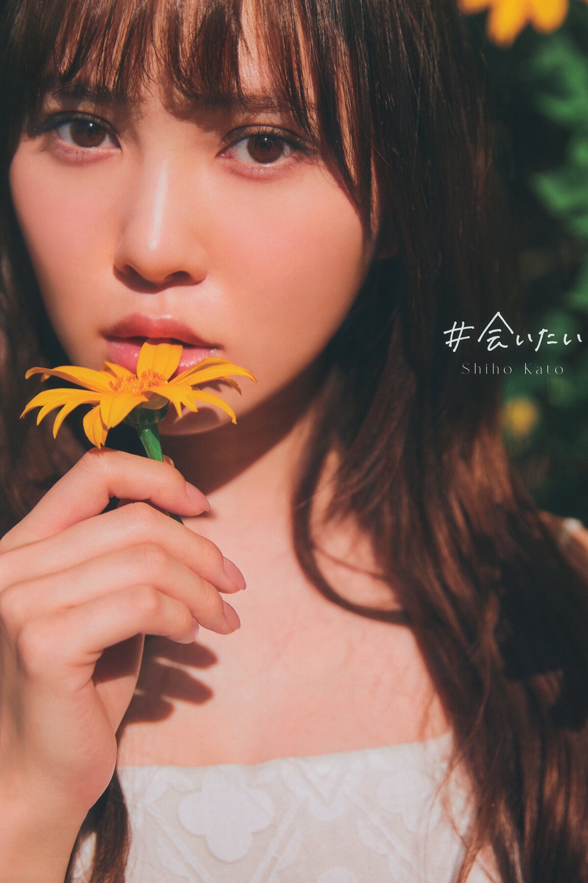 Photobook 2023.06.20 Hinatazaka46 Shiho Kato 加藤史帆 1st Photo Book I Want To See You A