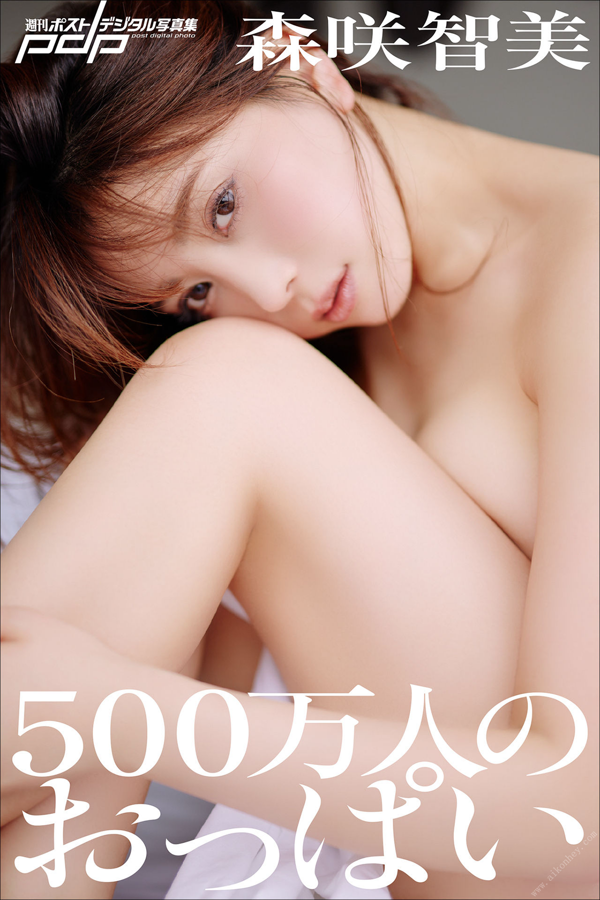 Photobook 森咲智美 500万人のおっぱい 週刊ポストデジタル写真集