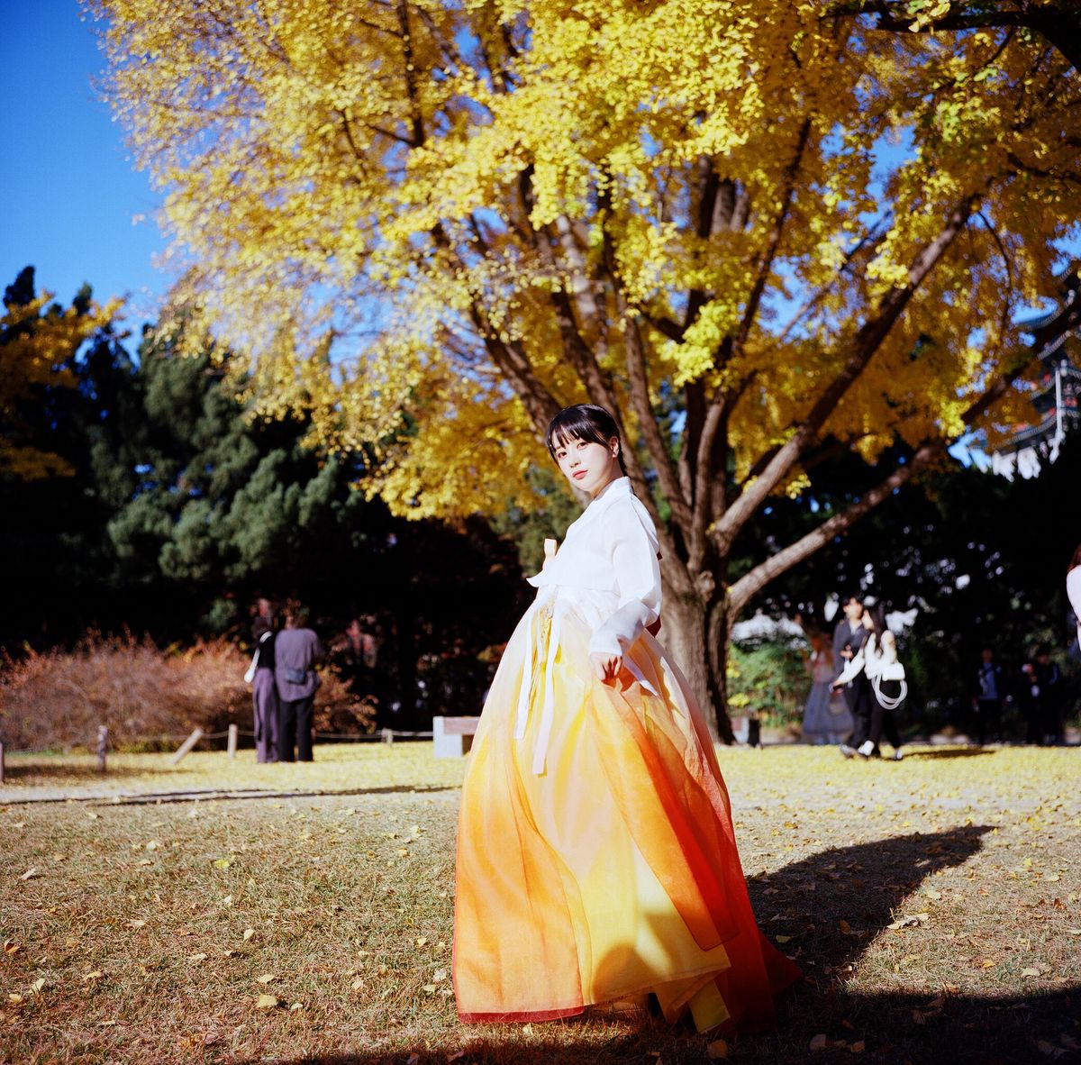 DJAWA ZziZzi Chuseok B 0056 4538674216.jpg