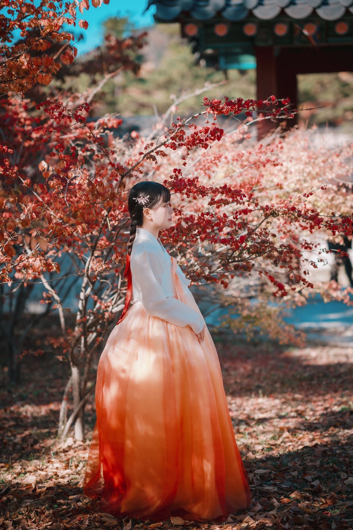 DJAWA ZziZzi Chuseok A 0051 7876850772.jpg