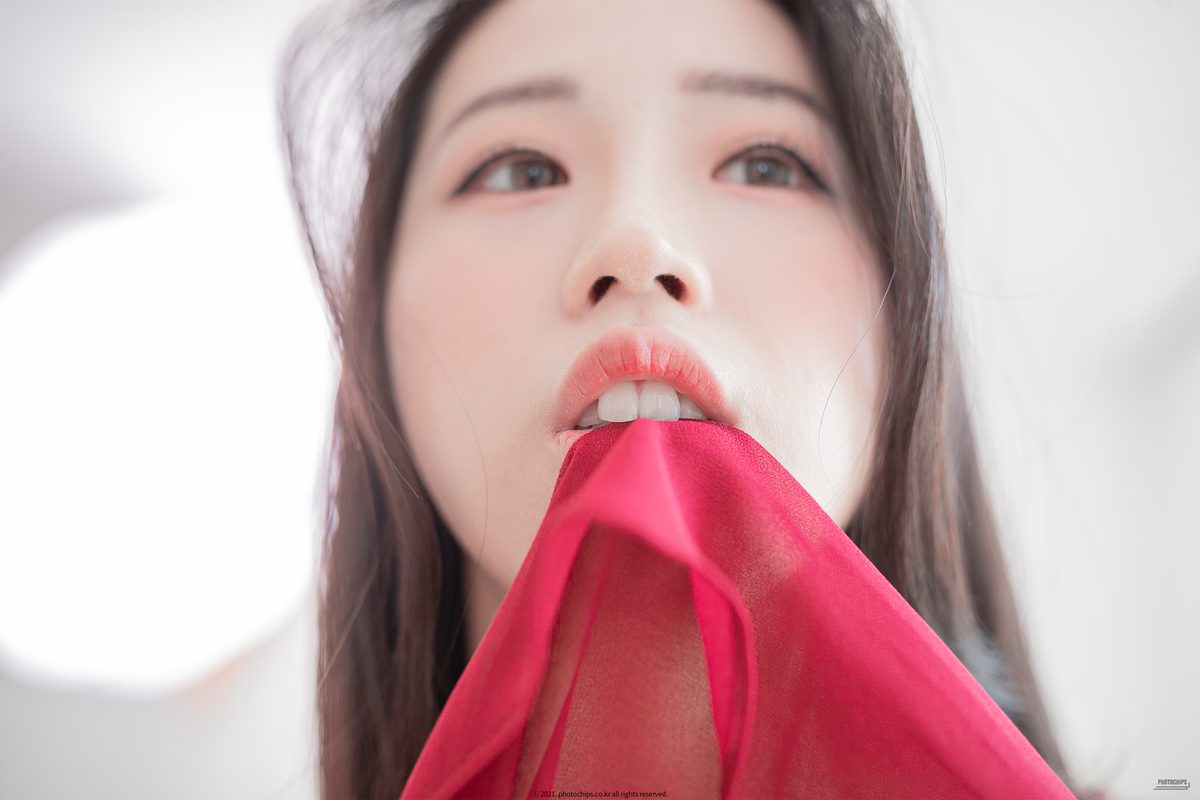 PhotoChips Vol 76 No 6 Dami 퀸다미 0045 5103431065.jpg